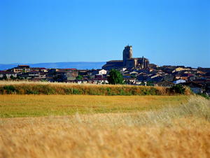 20081108131835-sasa.jpg